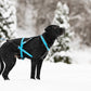 Harnais Rush - Vêtements pour chiens non-stop
