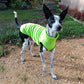 Hachico Jumper 02 - Sofadogwear | M1