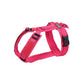 Chest harness Protect with reflector (standard and special colors) - Annyx