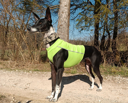 Safety-Reflektor Baumwoll Shirt / Top - DG Doggear