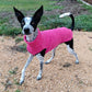 Hachico Jumper 02 - Sofadogwear | L2