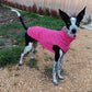 Hachico Jumper 02 - Sofadogwear | L2