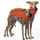 Outdoor Top Extreme (Jumper) - DG Doggear