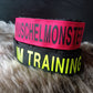 Laisse élastique de randonnée / ligne de traction de trekking - Nonstop Dogwear