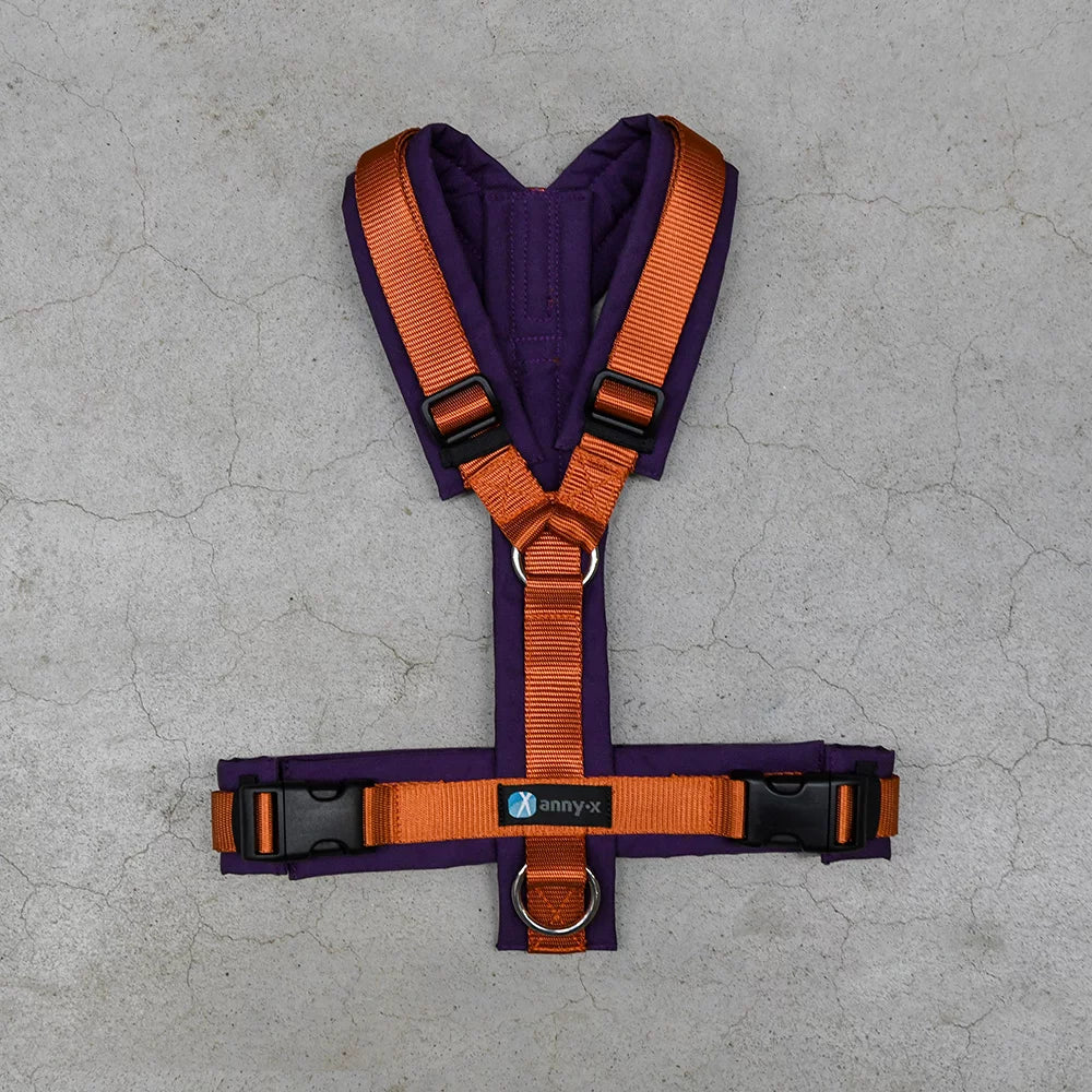 Fun Harness (Standard and Special Colors) - Annyx | S