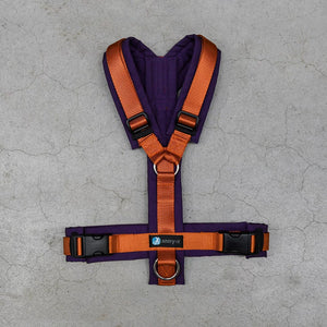 Fun Harness (Standard and Special Colors) - Annyx | S