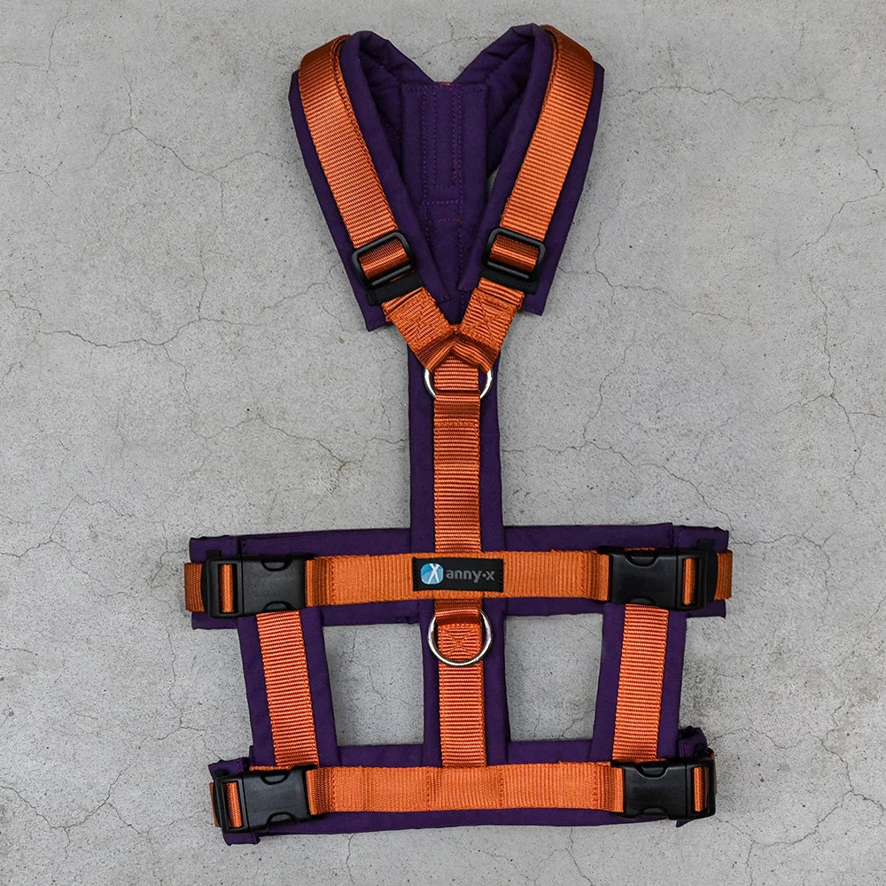 Safety harness "Safety" NORMAL sizes - Annyx