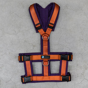 Safety harness "Safety" NORMAL sizes - Annyx