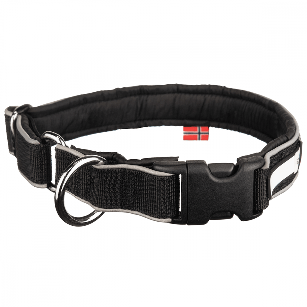 polar coller foto 2