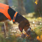 Protector Collar - Nonstop Dogwear