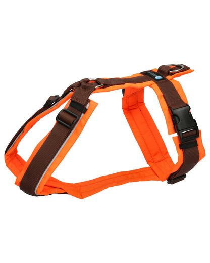 Chest harness Protect with reflector (standard and special colors) - Annyx