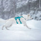 Ramble Harness Long - Nonstop Dogwear