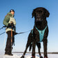 Ramble Harness Long - Nonstop Dogwear