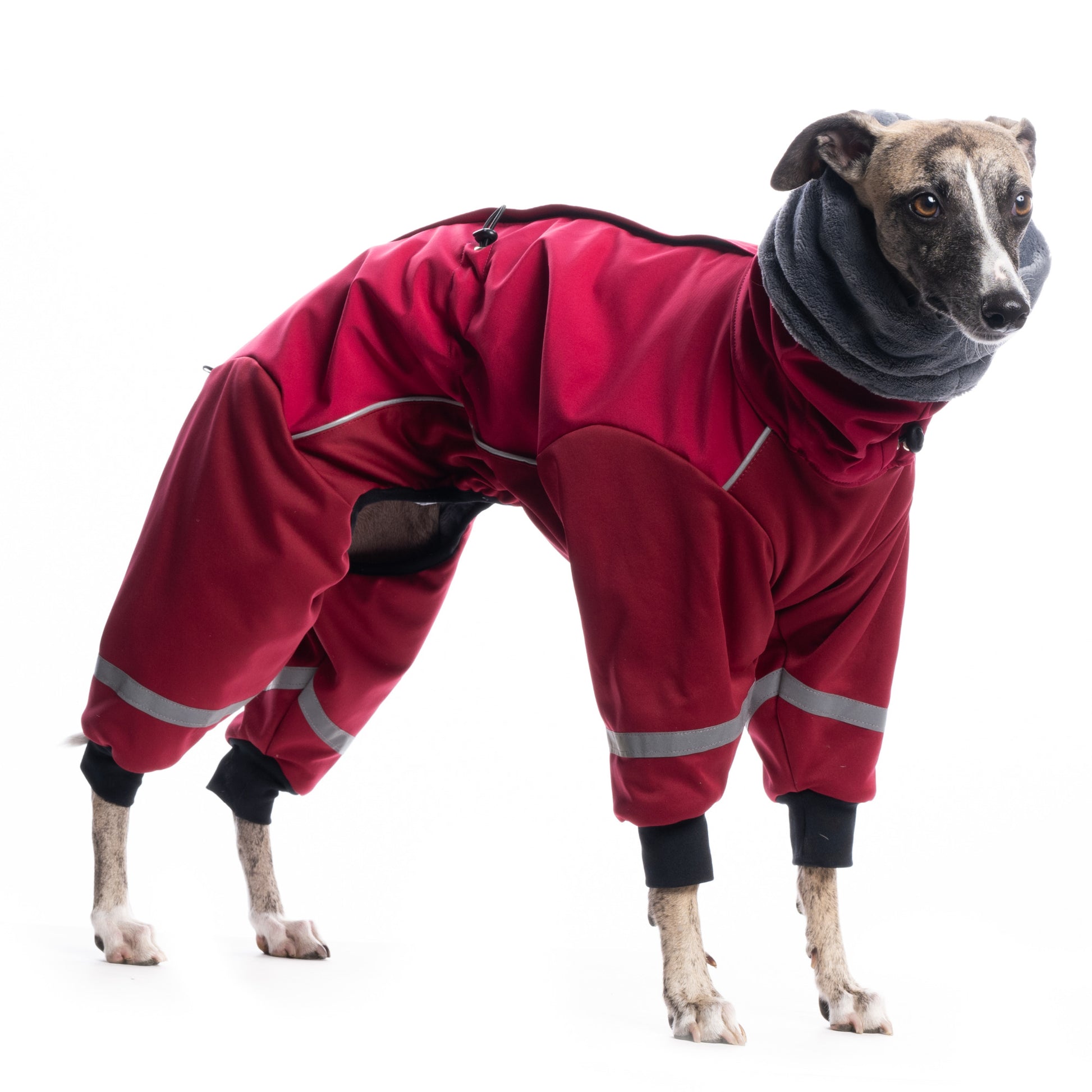dog gear deutschland LC Stretch Top - vest / top made of elastane for dogs