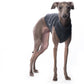 Ripp-Muster Baumwoll Shirt / Top - DG Doggear