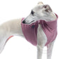 Baumwoll Shirt / Top - DG Doggear
