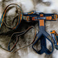 Trail Quest Leash / Gurtband Leine (Rachel Pohl) - Nonstop Dogwear