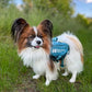 Geräumiger Hunderucksack / Trail quest Dog Backpack - Nonstop Dogwear