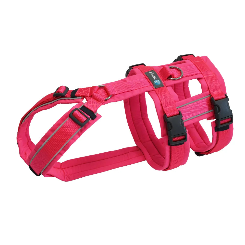 Safety harness "Safety" NORMAL sizes - Annyx