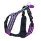 Trail harness / safety leading and pulling harness - Uwe Radant