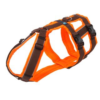 Safety harness "Safety" NORMAL sizes - Annyx