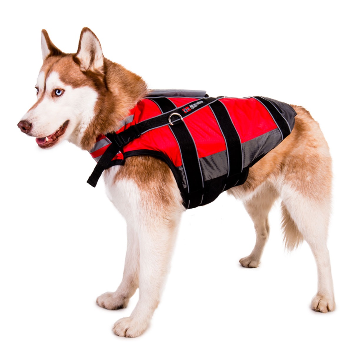 schwimmweste husky