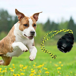 Jeu d'eau phare - Rogz