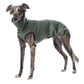 Pull urbain (Tecnostretch) - DG Doggear