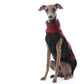 Softshell Top Jumper - DG Doggear