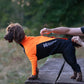 Protector Suit (Schutz Schnee, Schlamm, Zecken) - Nonstopdogwear