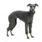 Warmkeeper Body - DG Doggear