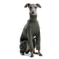 Warmkeeper Body - DG Doggear