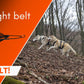 trail light belt fogo