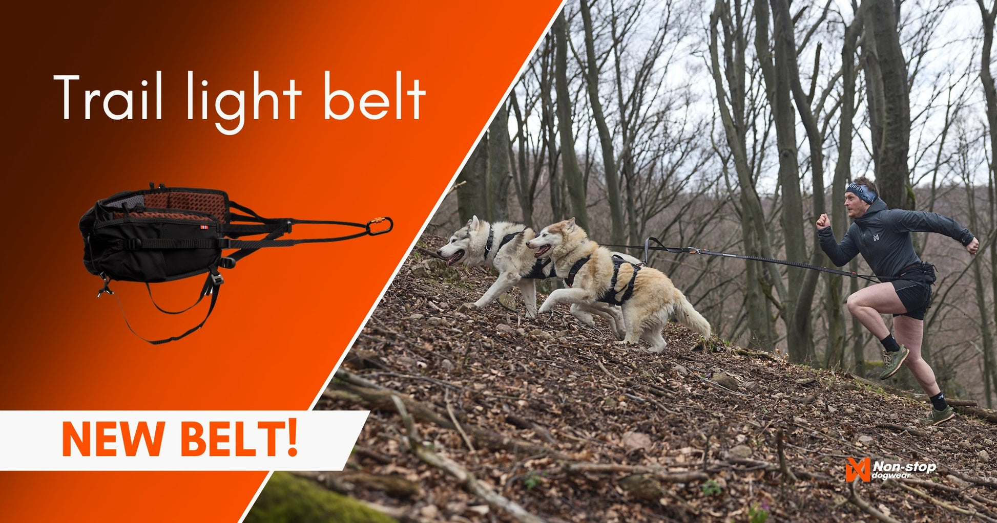 trail light belt fogo