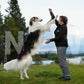 Pantalon de randonnée (femme/homme) - Nonstop Dogwear