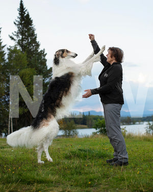 Pantalon de randonnée (femme/homme) - Nonstop Dogwear