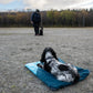 Trekking Dog Bed (Trekking Matte) - Nonstop Dogwear