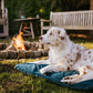 Trekking Dog Bed (Trekking Matte) - Nonstop Dogwear