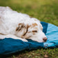 Trekking Dog Bed (Trekking Matte) - Nonstop Dogwear