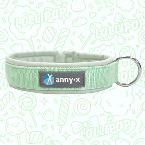 Collar Limited Editions + Fall Collection - Annyx