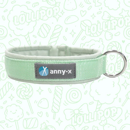 Collar Limited Editions + Fall Collection - Annyx