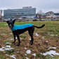 Fleece Top - DG Doggear