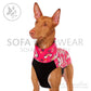 Hachico Unicorn - Sofadogwear