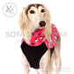 Hachico Unicorn - Sofadogwear