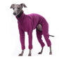 Warmkeeper Body - DG Doggear