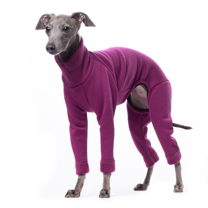 Warmkeeper Body - DG Doggear