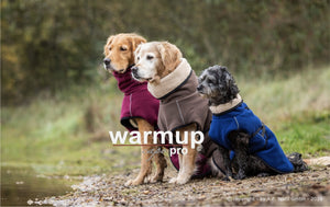 warmup cape pro 2