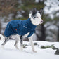 Glacier Wool Jacket 2.0 - Nonstop Dogwear