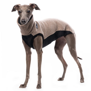 Outdoor jumper (Tecnostretch + Tecnowool) - DG Doggear