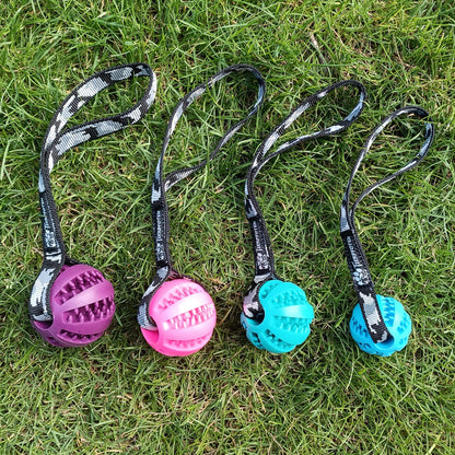 Throwing ball - animal paws